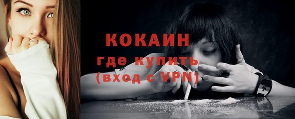 индика Армянск
