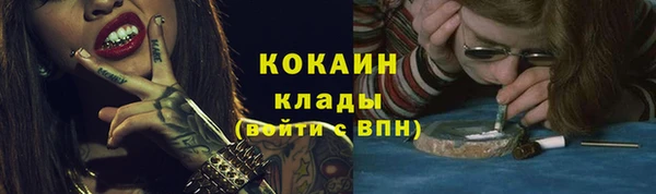 индика Армянск