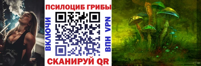Галлюциногенные грибы Magic Shrooms  Гдов 