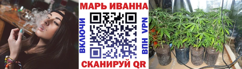 купить наркотики сайты Гдов Шишки марихуана Ganja